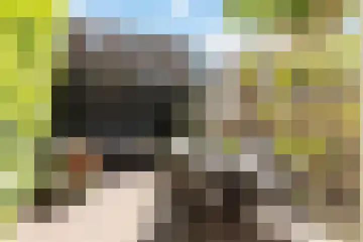 Billitonkade 87 Utrecht thumbnail 4