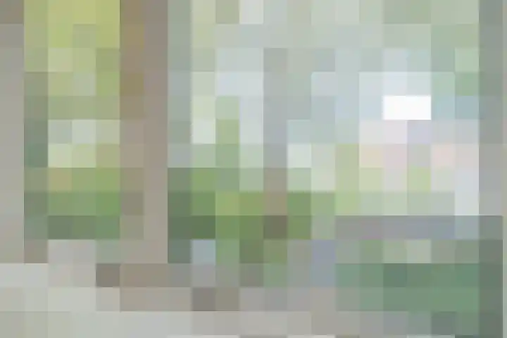 Billitonkade 93 Utrecht thumbnail 11