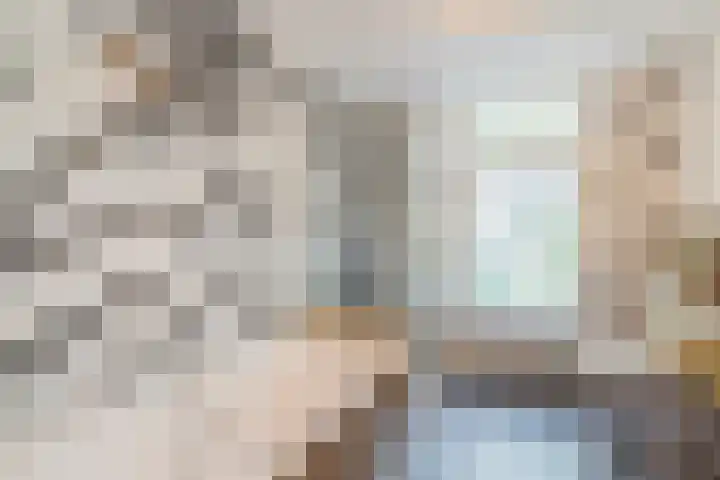 Billitonkade 93 Utrecht thumbnail 25