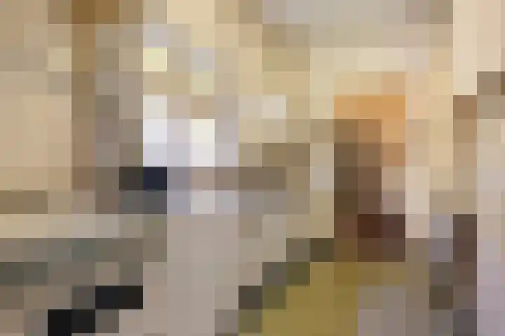 Billitonlaan 20 Apeldoorn thumbnail 10