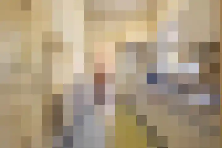 Billitonlaan 20 Apeldoorn thumbnail 11