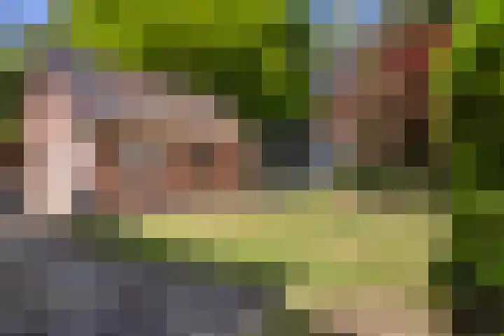 Billitonlaan 20 Apeldoorn thumbnail 15