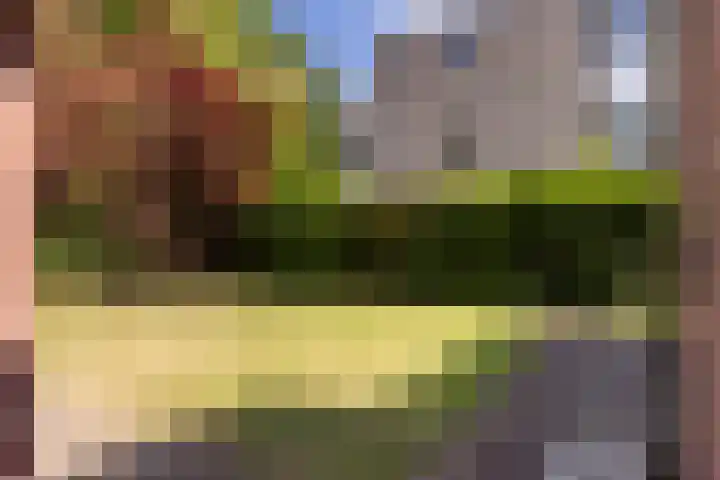 Billitonlaan 20 Apeldoorn thumbnail 16