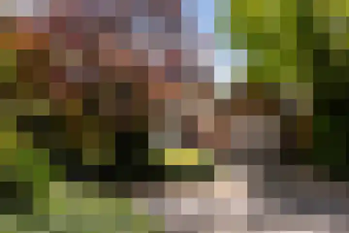 Billitonlaan 20 Apeldoorn thumbnail 17