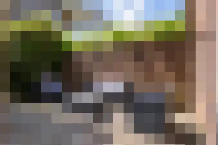 Billitonlaan 20 Apeldoorn thumbnail 18