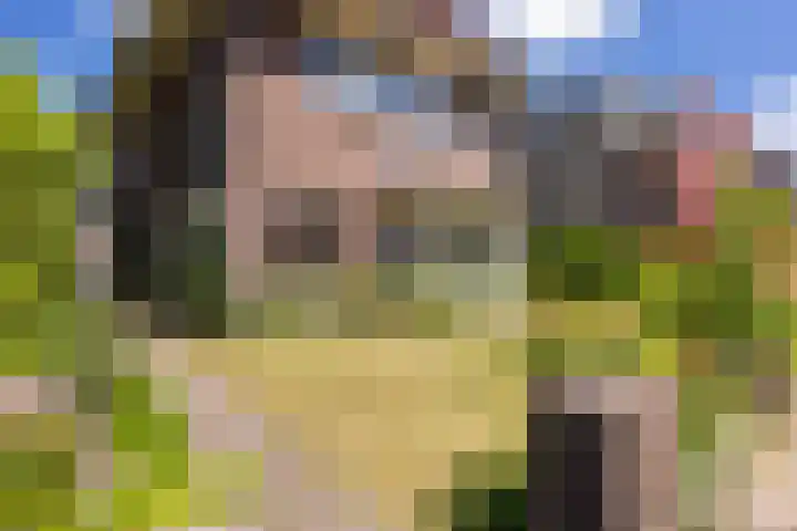 Billitonlaan 20 Apeldoorn thumbnail 21
