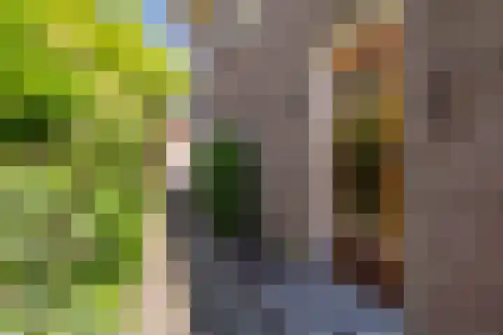 Billitonlaan 20 Apeldoorn thumbnail 22