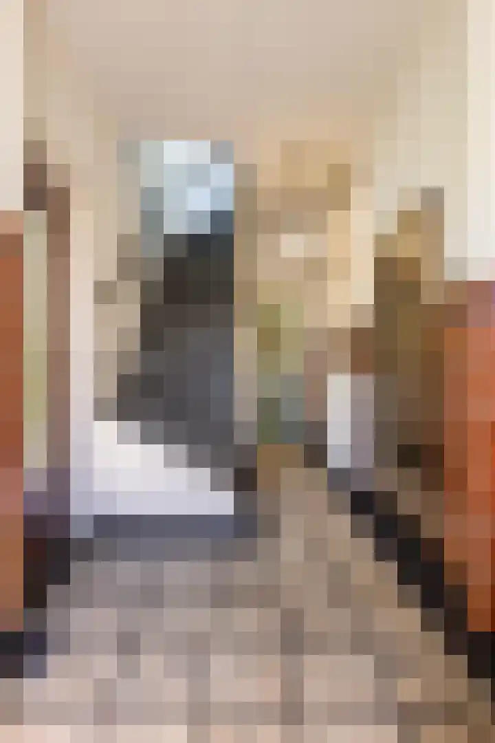 Billitonlaan 20 Apeldoorn thumbnail 25