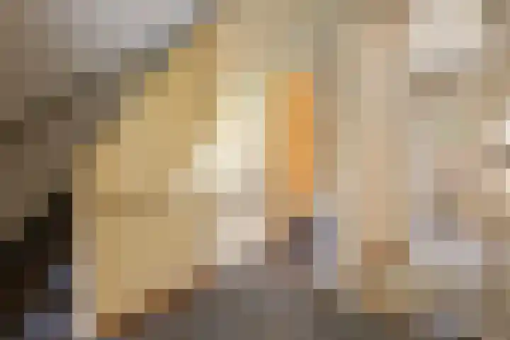 Billitonlaan 20 Apeldoorn thumbnail 27