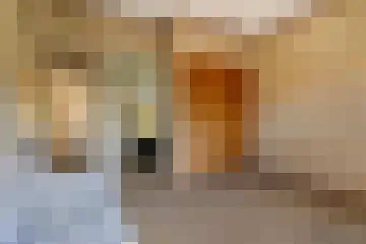 Billitonlaan 20 Apeldoorn thumbnail 31