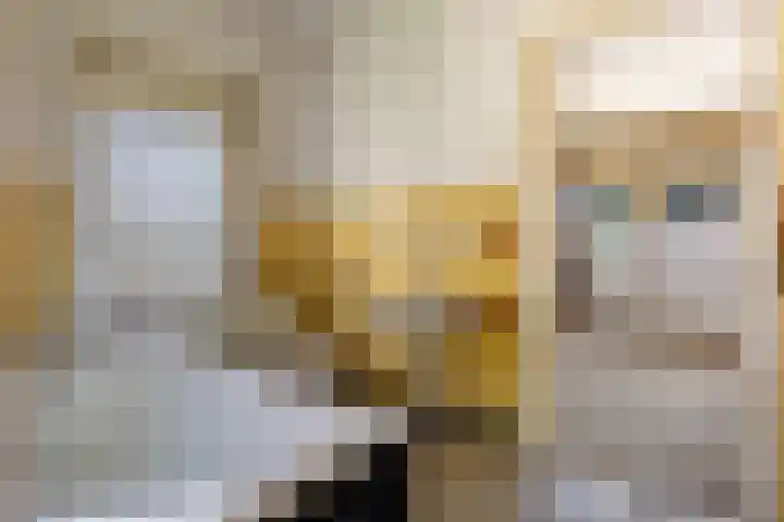 Billitonlaan 20 Apeldoorn thumbnail 33