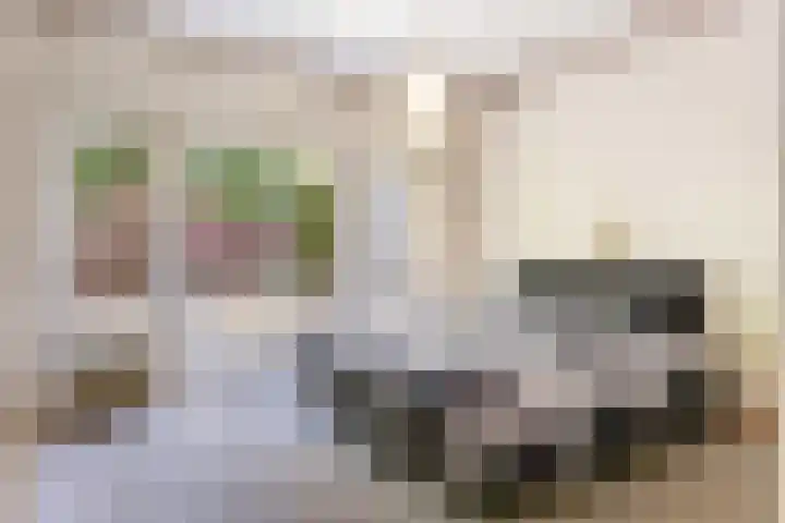 Billitonlaan 20 Apeldoorn thumbnail 34
