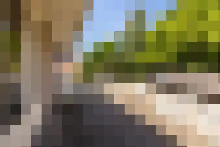 Billitonlaan 20 Apeldoorn thumbnail 37