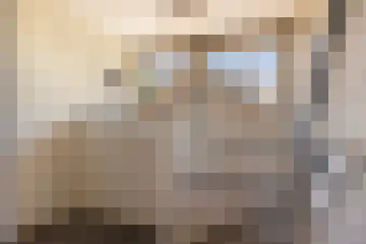 Billitonlaan 20 Apeldoorn thumbnail 42