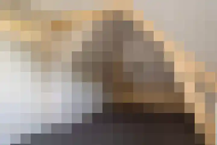 Billitonlaan 20 Apeldoorn thumbnail 43