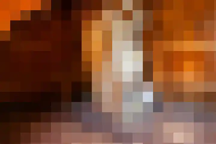 Billitonlaan 20 Apeldoorn thumbnail 45