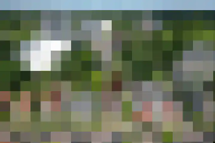 Billitonlaan 20 Apeldoorn thumbnail 49