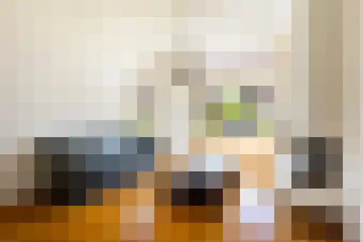 Billitonlaan 20 Apeldoorn thumbnail 5