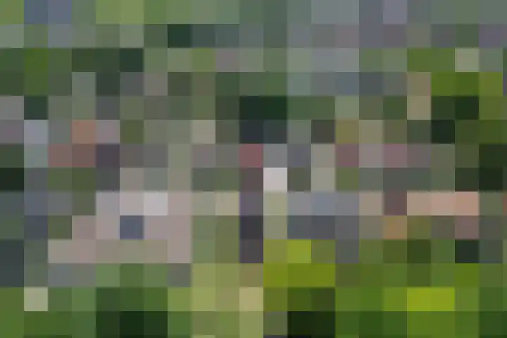 Billitonlaan 20 Apeldoorn thumbnail 50