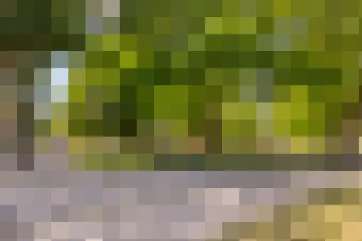 Billitonlaan 20 Apeldoorn thumbnail 52