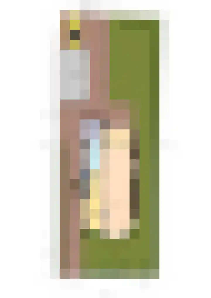Billitonlaan 20 Apeldoorn thumbnail 58