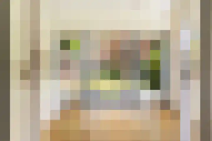 Billitonlaan 20 Apeldoorn thumbnail 8