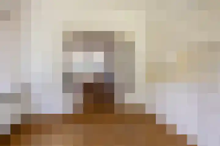 Billitonlaan 20 Apeldoorn thumbnail 9