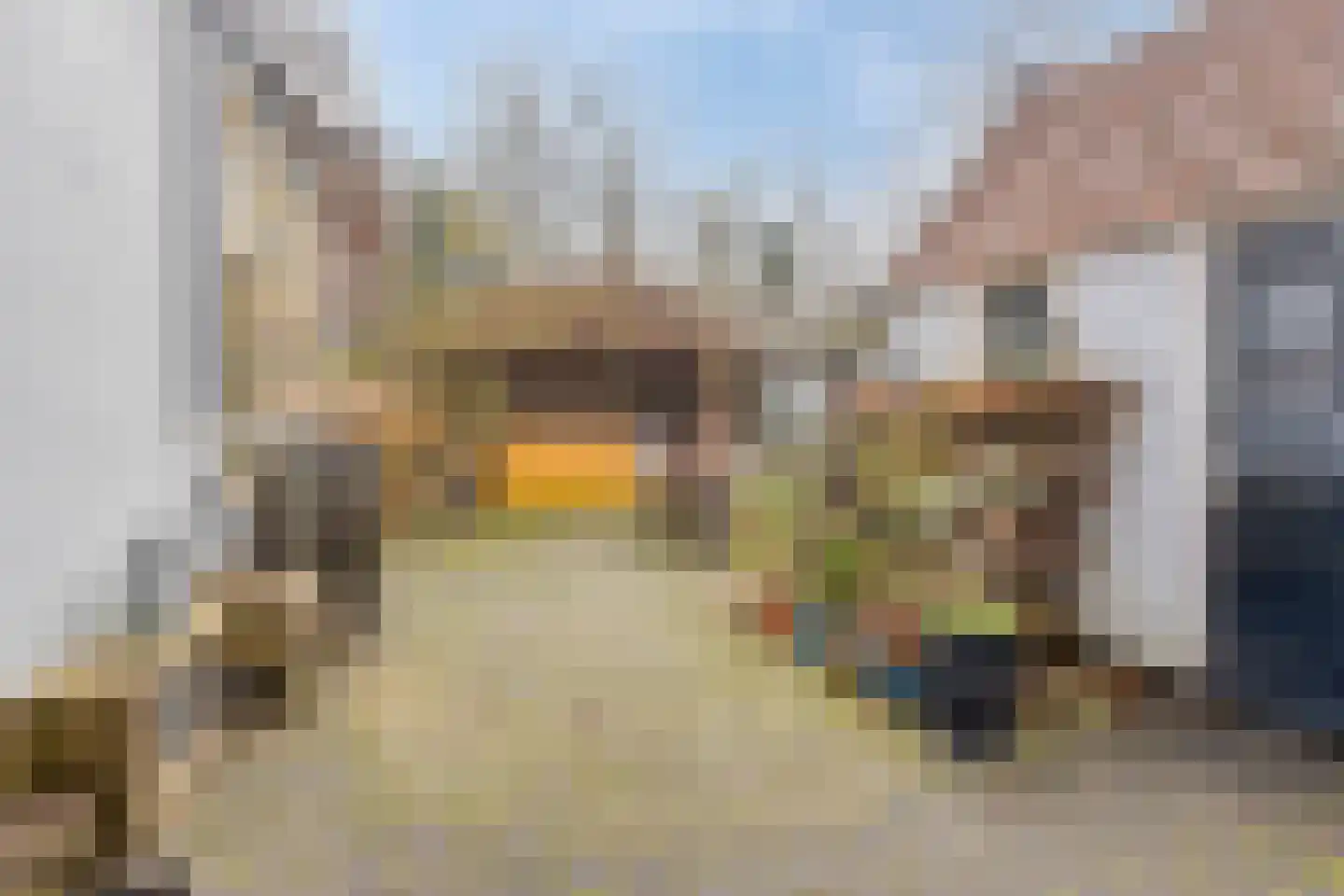 Billitonlaan 3 Apeldoorn thumbnail 20