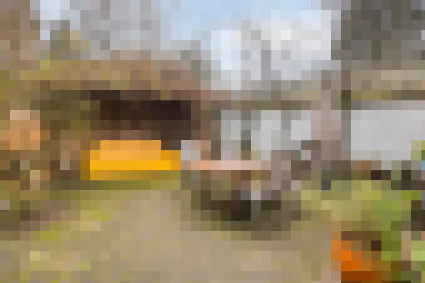 Billitonlaan 3 Apeldoorn thumbnail 21