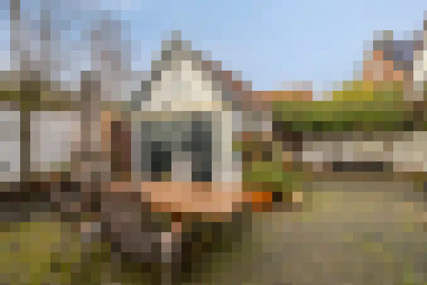 Billitonlaan 3 Apeldoorn thumbnail 23