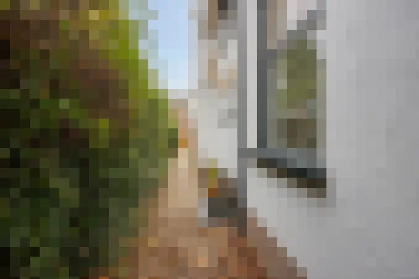 Billitonlaan 3 Apeldoorn thumbnail 5