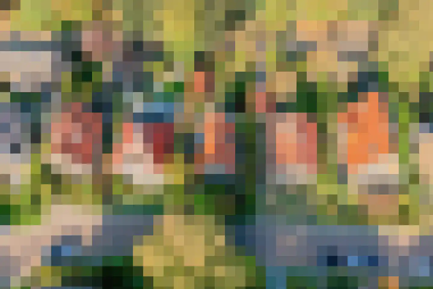 Billitonlaan 30 Apeldoorn thumbnail 40