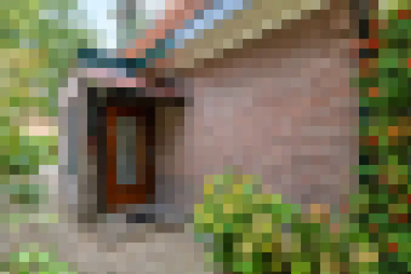Billitonlaan 30 Apeldoorn thumbnail 7