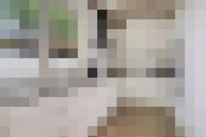 Billitonlaan 46 Apeldoorn thumbnail 11