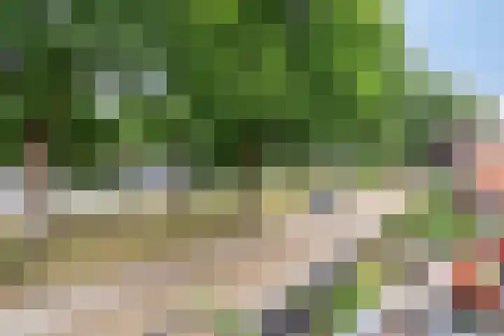 Billitonlaan 46 Apeldoorn thumbnail 21