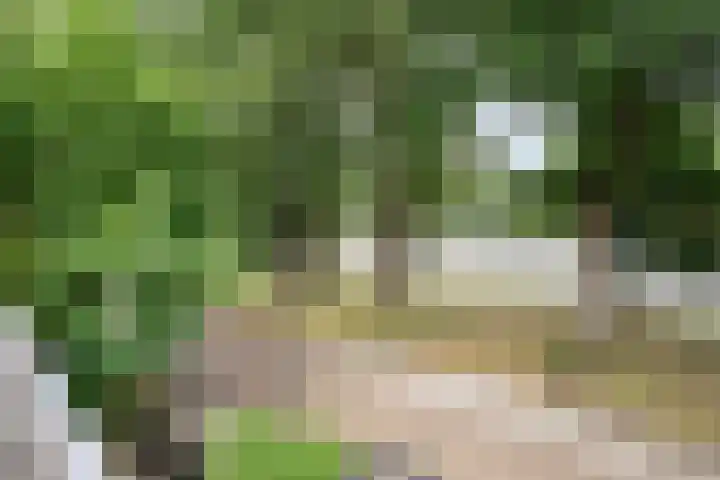 Billitonlaan 46 Apeldoorn thumbnail 22