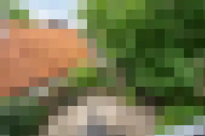 Billitonlaan 46 Apeldoorn thumbnail 23