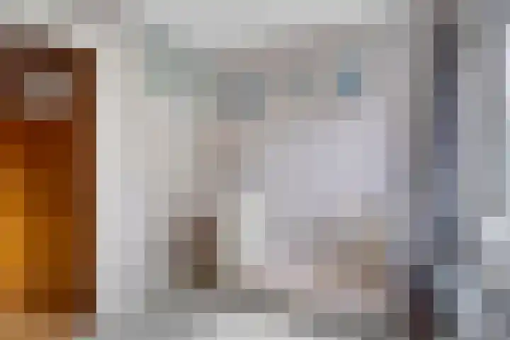 Billitonlaan 46 Apeldoorn thumbnail 26