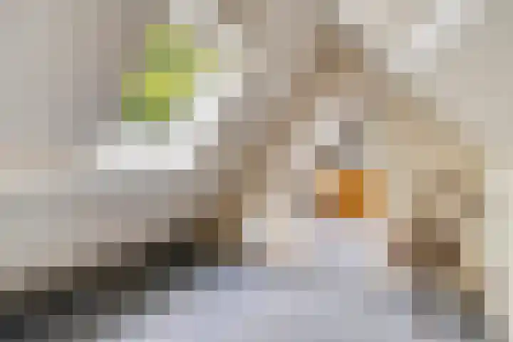 Billitonlaan 46 Apeldoorn thumbnail 30