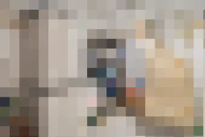 Billitonlaan 46 Apeldoorn thumbnail 32