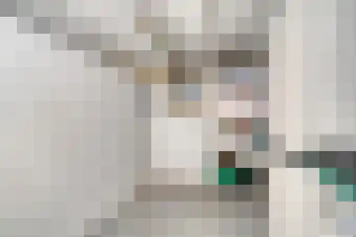 Billitonlaan 46 Apeldoorn thumbnail 33