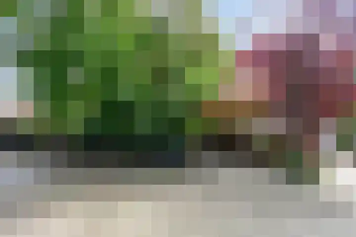 Billitonlaan 46 Apeldoorn thumbnail 38
