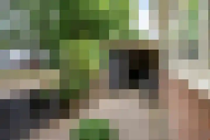Billitonlaan 46 Apeldoorn thumbnail 39