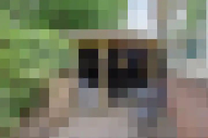 Billitonlaan 46 Apeldoorn thumbnail 40
