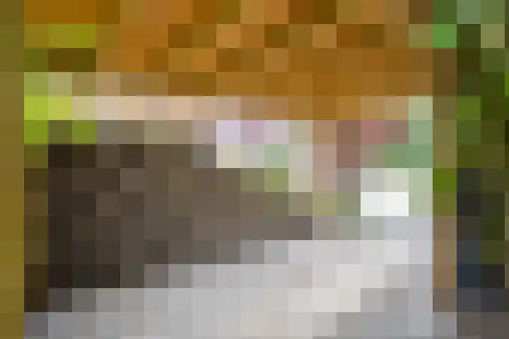Billitonlaan 46 Apeldoorn thumbnail 41