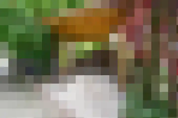 Billitonlaan 46 Apeldoorn thumbnail 42
