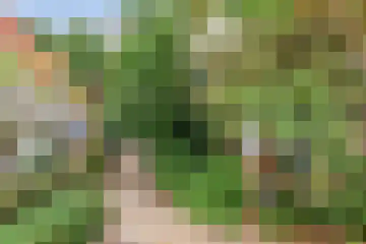 Billitonlaan 46 Apeldoorn thumbnail 44