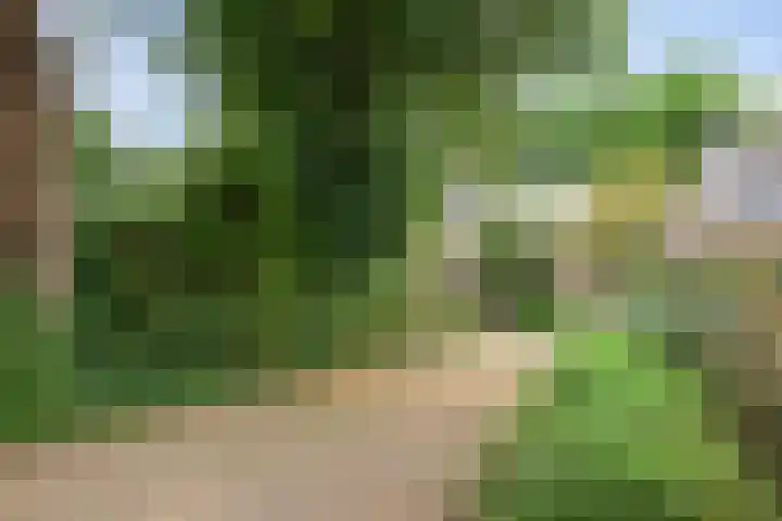 Billitonlaan 46 Apeldoorn thumbnail 45