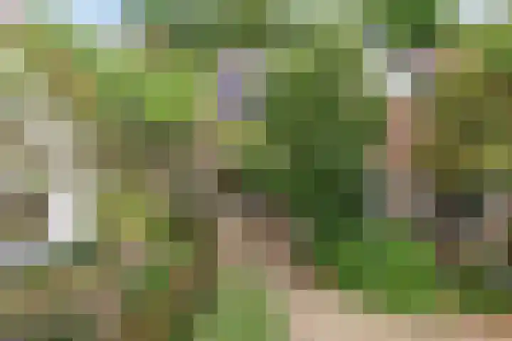 Billitonlaan 46 Apeldoorn thumbnail 46