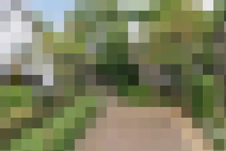 Billitonlaan 46 Apeldoorn thumbnail 47